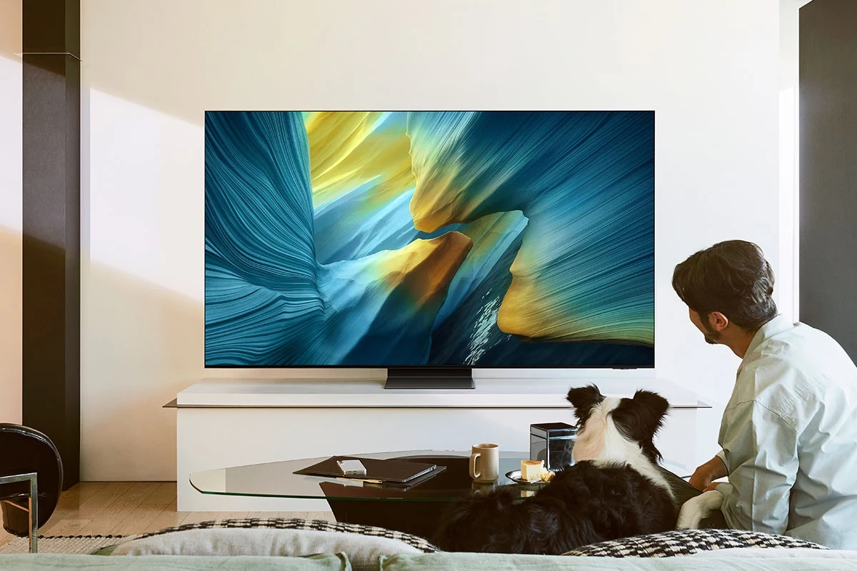Samsung OLED S95F mounted on a wall in a living room while a man and his dog watch from the couch