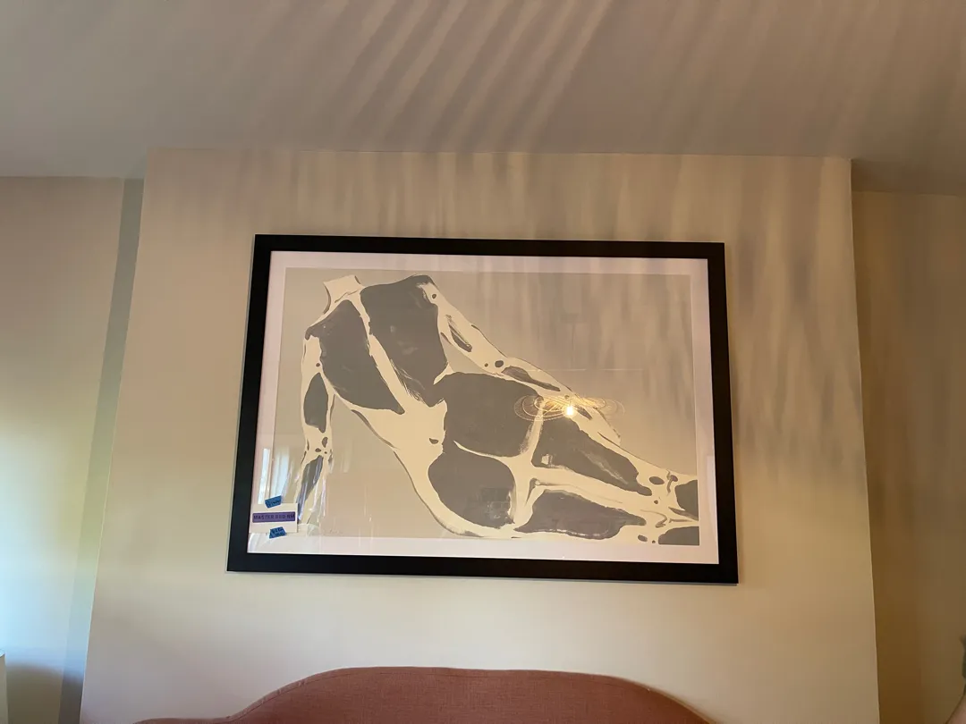 A large abstract print showing an organic, bone-like reclining figure, mounted above a headboard.