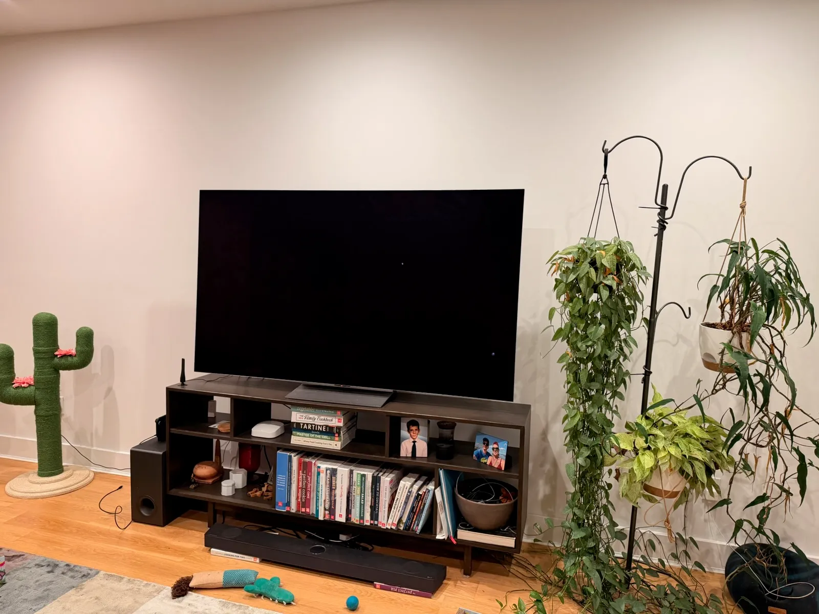 A 77-inch OLED TV and soundbar in Brooklyn — photo 10